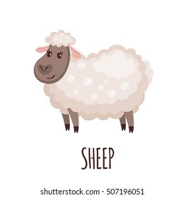 Cute sheep in flat style isolated on white background. Vector illustration. Cartoon sheep.