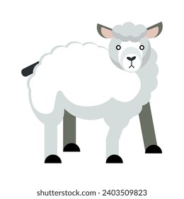 Cute sheep, flat vector illustration. Cartoon style. Isolated on white background