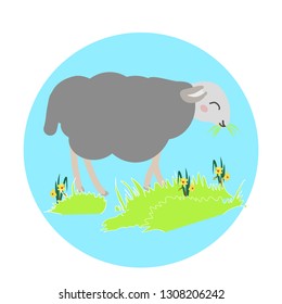 Cute sheep grazing in spring field with daffodils Easter vector illustration