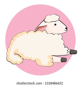cute sheep laying