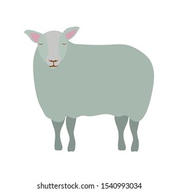 cute sheep manger animal character vector illustration design