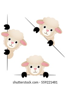 Cute sheep peeking from behind in various positions
