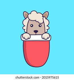 Cute sheep in red pocket.