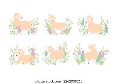 Cute Sheep Resting and Relaxing in Meadow Flowers Vector Set