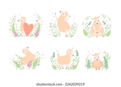 Cute Sheep Resting and Relaxing in Meadow Flowers Vector Set