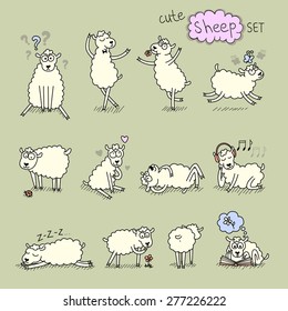 Cute sheep set