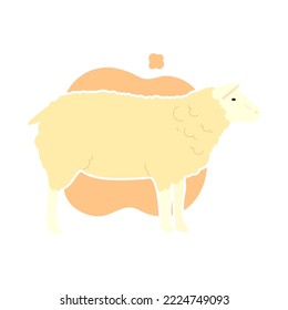 Cute sheep simple isolated vector design image