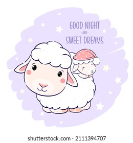 Cute sheep  
