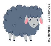 Cute sheep, Sweet dreams, Counting sheeps - Baby nursery collection. Vector
