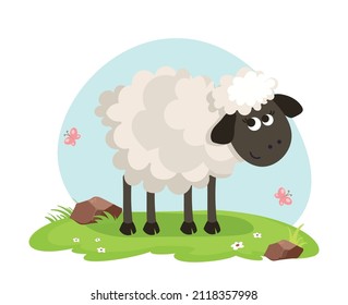 Cute sheep vector flat illustration with landscape isolated on white background. Farm animals cartoon sheep character an a grass