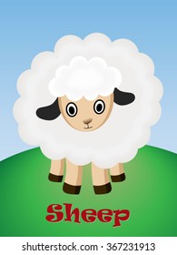 Cute sheep vector illustration