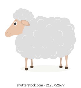 Cute sheep. Vector illustration in cartoon style. Children's room decoration, print design for kids clothing. Greeting card design for girl, for boy. Drawn sheep. Whine background. Gray, white sheep.
