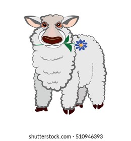 Cute sheep vector illustration on a white background