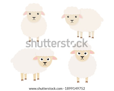 Cute sheeps character set. Cartoon farm animals collection. Vector illsutration isolated on white
