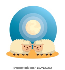 cute sheeps farm animals characters vector illustration design