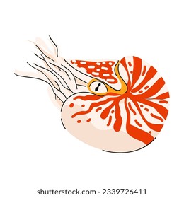 Cute shellfish nautilus isolated on white background. Ocean marine animal Vector flat illustration