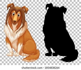 Cute shetland sheepdog and its silhouette on transparent background illustration