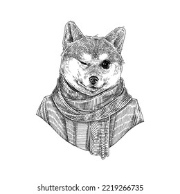 Cute Shiba Inu In Casual Scarf Fashion Style, Hand Drawn Illustration Vector