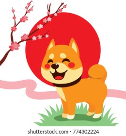 Cute Shiba Inu dog with cherry blossom blooming and red rising sun on background