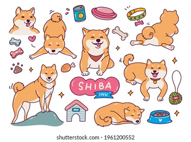 Cute Shiba inu dog in doodle style vector illustration