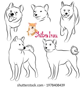 Cute Shiba Inu dog doodle. Collection in different poses in free hand drawing illustration style.