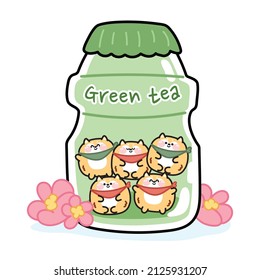 Cute shiba inu dog in green tea milk bottle with sakura flower.Animal character cartoon design.Japanese pets.Isolated.Kawaii.Vector.Illustration.