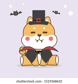 Cute shiba inu dog with Halloween Dracula costume