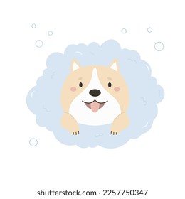 Cute shiba inu dog having a bath with a foam and bubbles. Vector illustration of a funny washing pet.