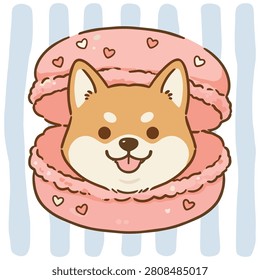 Lindo perro Shiba Inu
