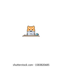 Cute shiba inu dog working on a laptop, vector illustration