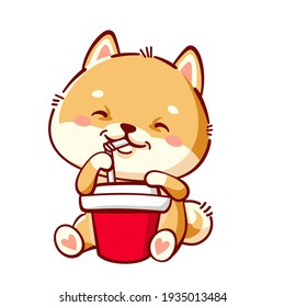 Cute Shiba Inu drinks soda