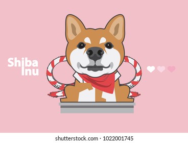 Cute Shiba Inu and His Uniform