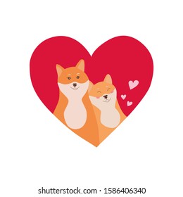 Cute shiba inu in love for valentine's day, vector illustration, romantic card,  declaration of love