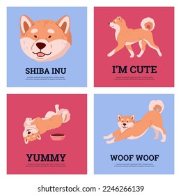 Cute shiba inu posters set, flat vector illustration. Funny Japanese dog walking, stretching and eating. Various dog poses, greeting cards design.