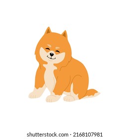 Cute shiba inu sitting. Funny japanese dog. Smiling animal. Hand drawn colored vector illustration isolated on white background. Modern trendy flat cartoon style.