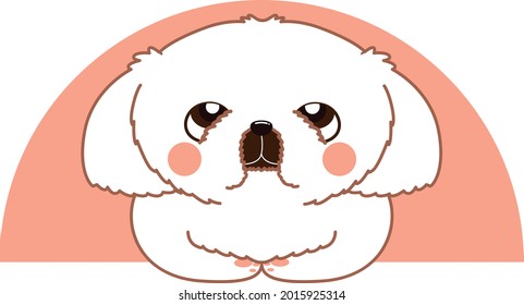 Cute Shih Tzu Dog flat style cartoon vector