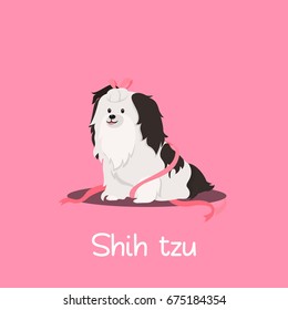 A cute Shih tzu dog pink background vector