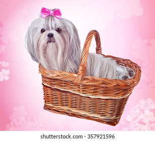Cute shih tzu dog with pink bow sitting in basket. Soft pink floral background.