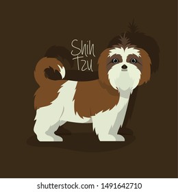 cute shistzu dog pet character