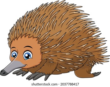 Cute Short-beaked Echidna cartoon vector illustration