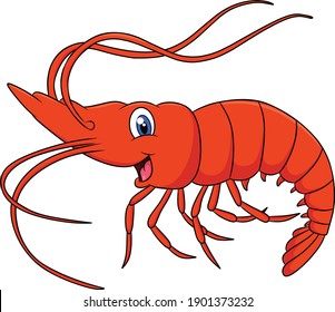 Cute Shrimp animal cartoon illustration