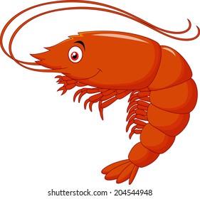 Cute shrimp cartoon