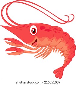 Cute Shrimp Cartoon