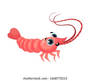 Cute Shrimp Cartoon Character with Big Eyes Vector Illustration