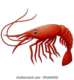 Cute Shrimp Cartoon Illustration