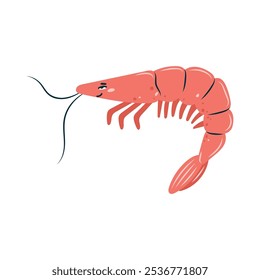 Cute shrimp on white. Character in children's style. Isolated vector illustration.