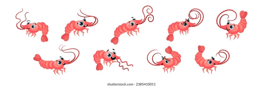 Cute Shrimp with Pretty Face and Big Eyes Vector Set