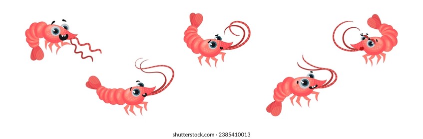 Cute Shrimp with Pretty Face and Big Eyes Vector Set