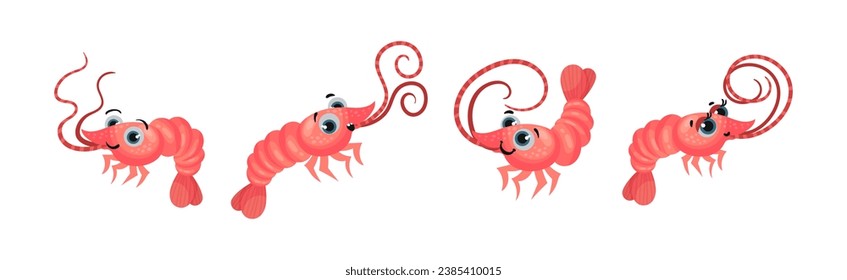 Cute Shrimp with Pretty Face and Big Eyes Vector Set
