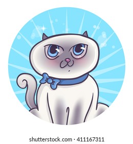 Cute siamese cat